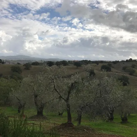 Podere Pini Semesterbostad *
